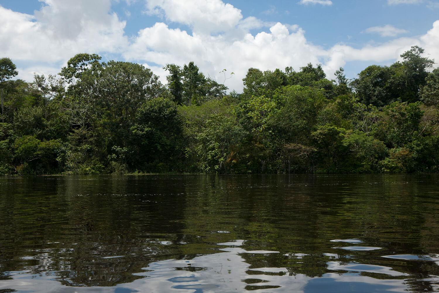 AMAZONAS 7 rio galeria_MG_4664.jpg